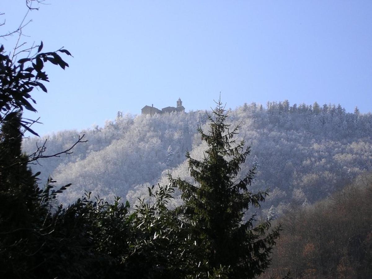 Villa Porcigliano Olive Grove Polcanto Bagian luar foto