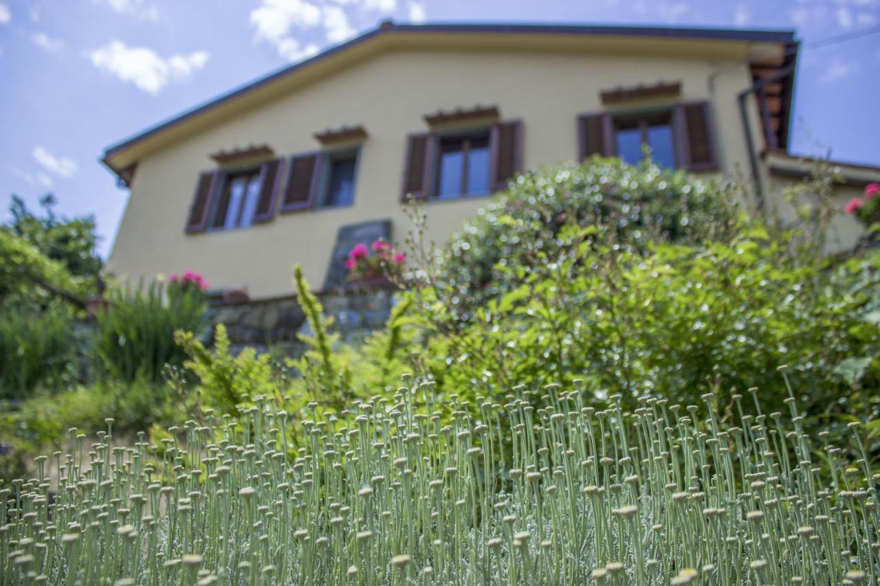 Villa Porcigliano Olive Grove Polcanto Bagian luar foto