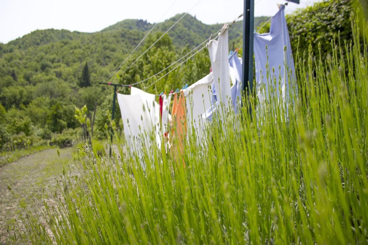 Villa Porcigliano Olive Grove Polcanto Bagian luar foto