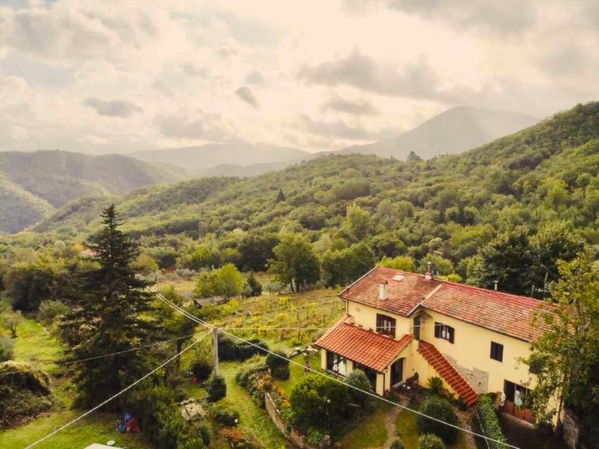 Villa Porcigliano Olive Grove Polcanto Bagian luar foto