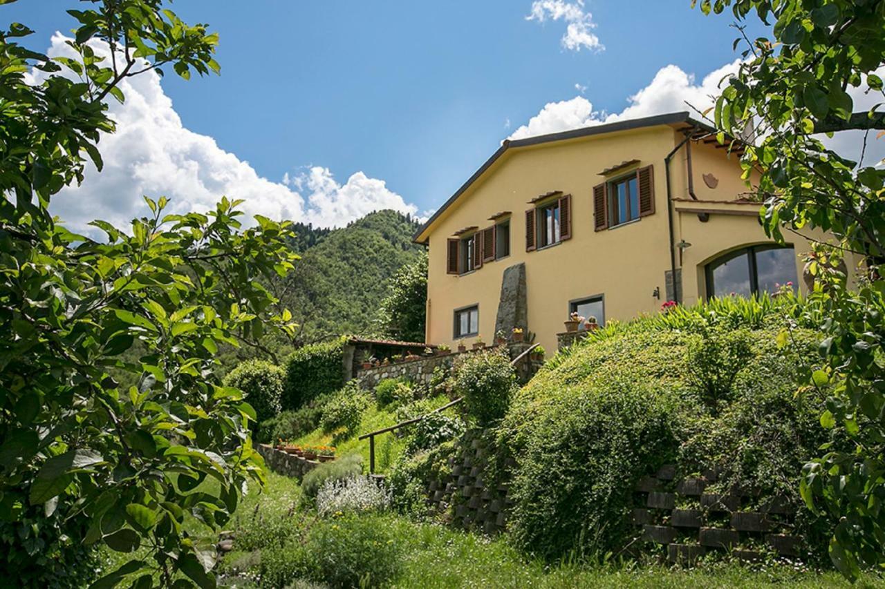 Villa Porcigliano Olive Grove Polcanto Bagian luar foto