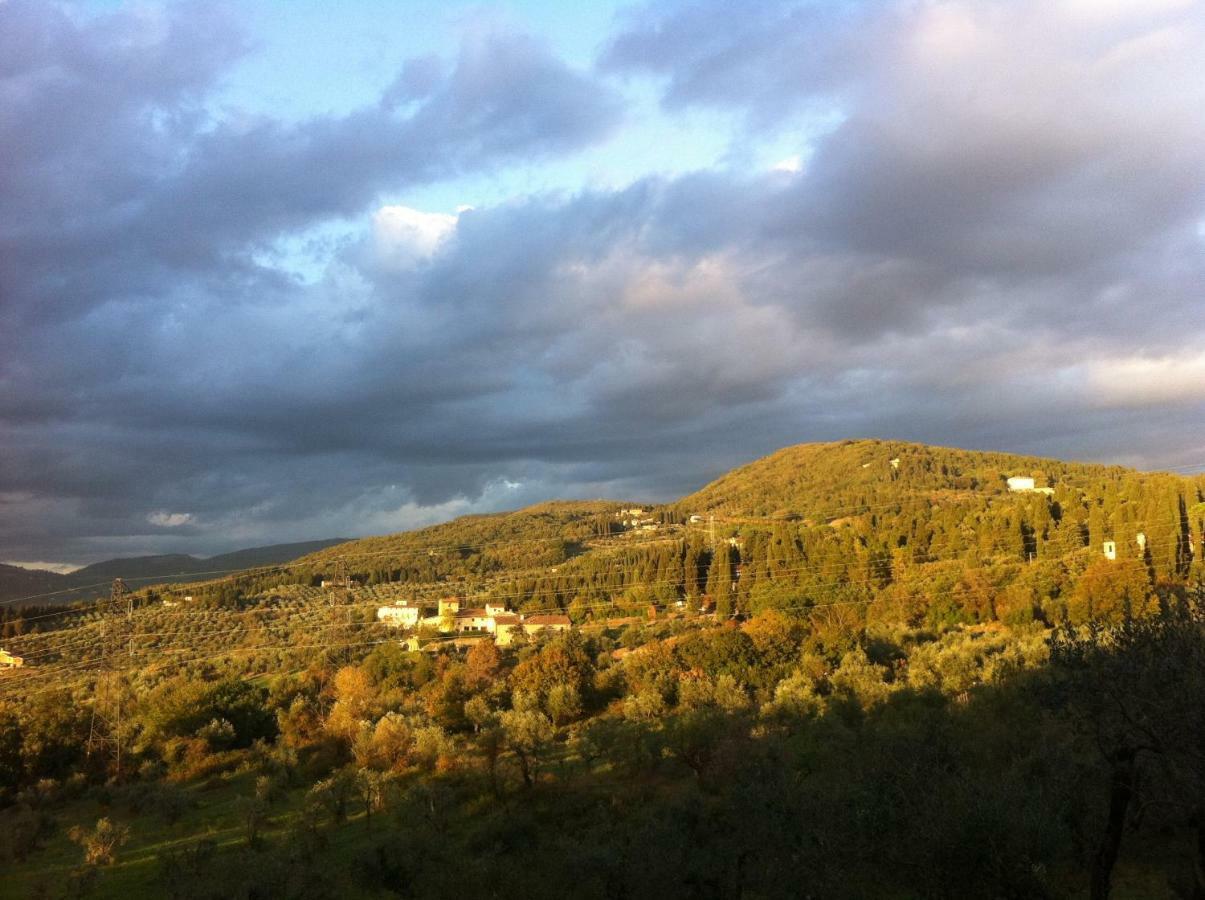 Villa Porcigliano Olive Grove Polcanto Bagian luar foto